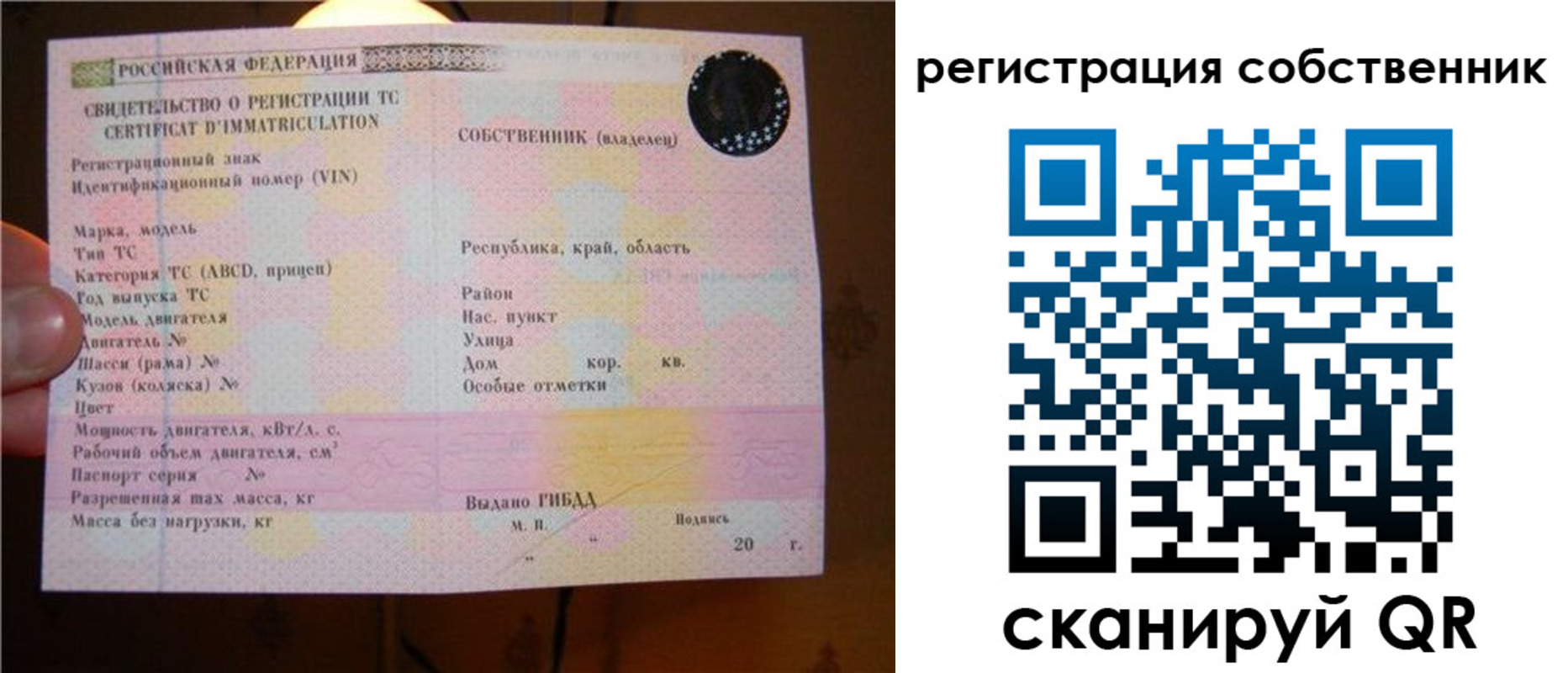 прописка иностранных граждан в Мурманской области